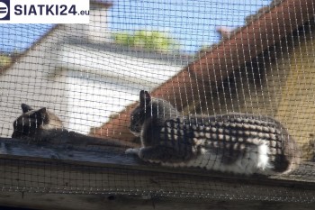 Siatki tkane - Siatka na balkony dla kota i zabezpieczenie dzieci siatki tkanej