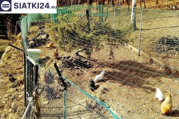 Siatki tkane - Siatka na woliery - zabezpieczenia ptaków w hodowli siatki tkanej